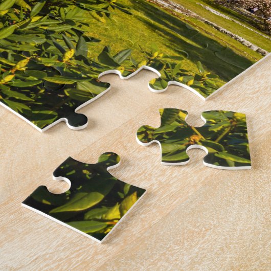 Krakow, Wawel Castle, Polen, mooie puzzels (Zijkant)