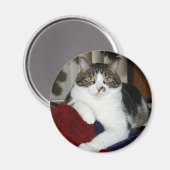 Kramer Magneet (Voorkant / Achterkant)