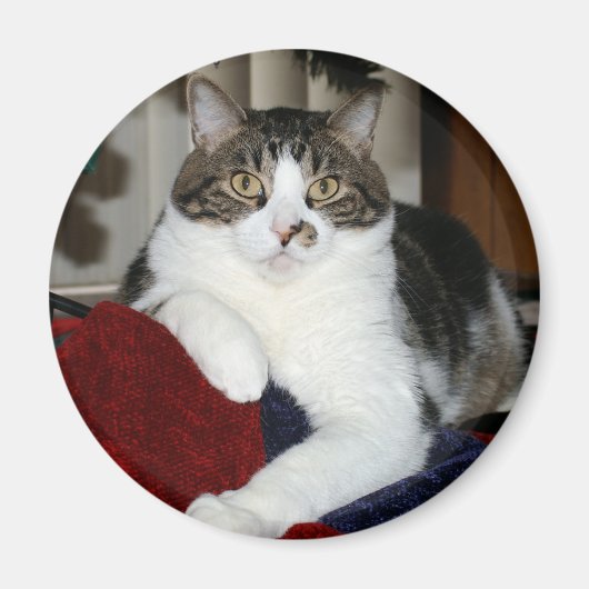 Kramer Magneet (Voorkant)