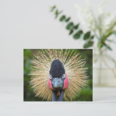 Krane vogelportret briefkaart (Staand voorkant)