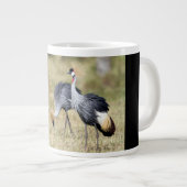 Kranen bij Masai Mara Grote Koffiekop (Voorkant rechts)