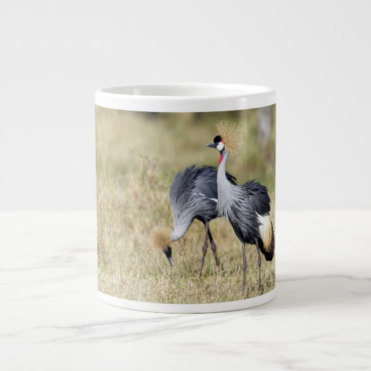 Kranen bij Masai Mara Grote Koffiekop (Voorkant)