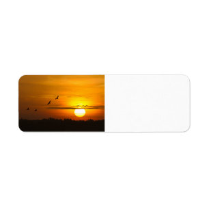 Kranen bij zonsopgang etiket