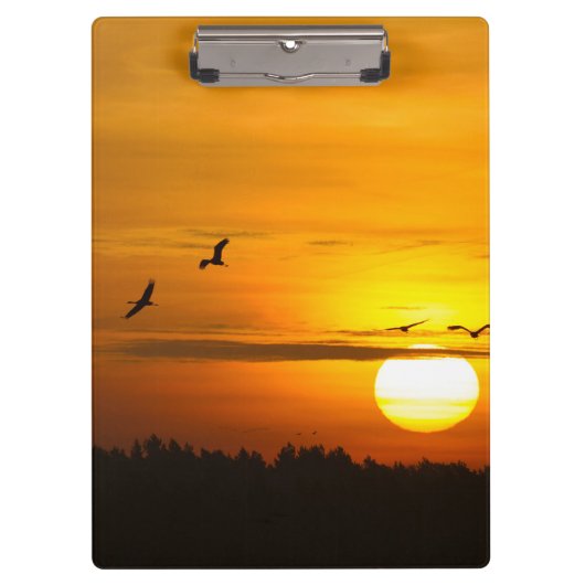 Kranen bij zonsopgang klembord (Voorkant)