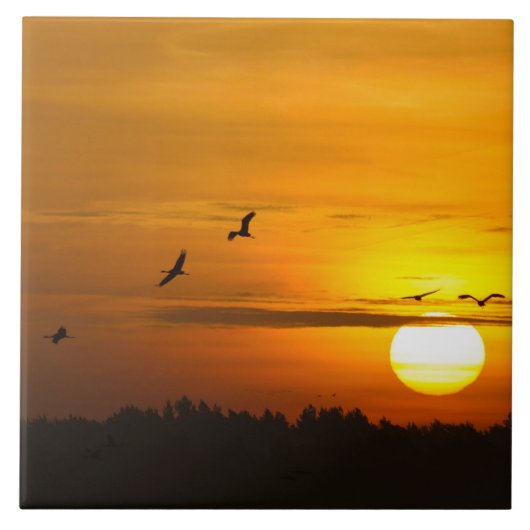 Kranen bij zonsopgang tegeltje (Voorkant)