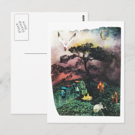 kranen briefkaart (Voorkant / Achterkant)