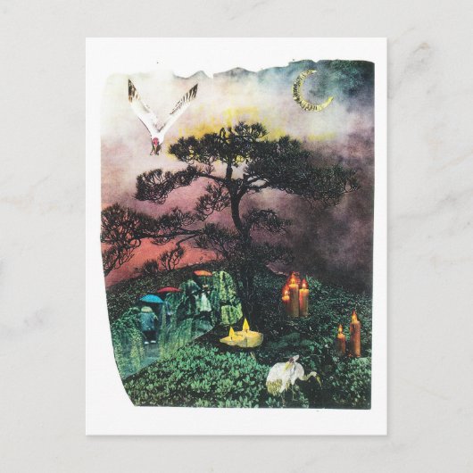 kranen briefkaart (Voorkant)