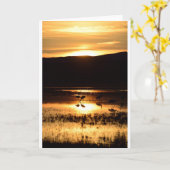 Kranen die bij zonsondergang voeden kaart (Gele Bloem)