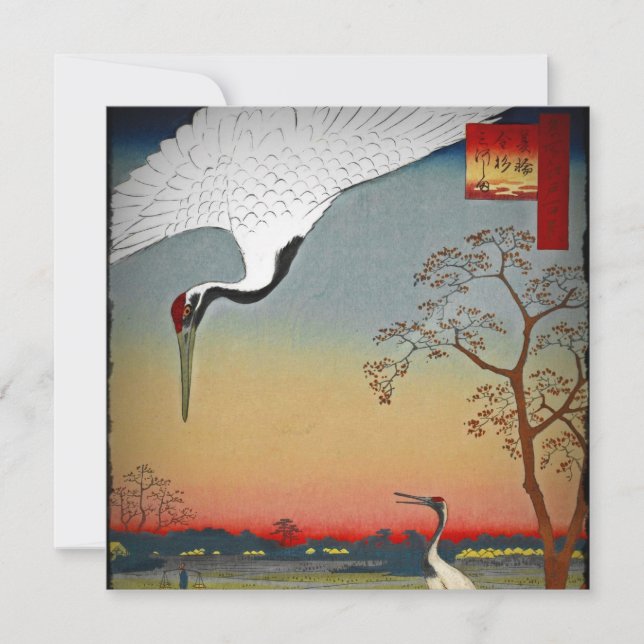 Kranen en blauw water (Voorkant)