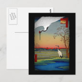 Kranen en blauw water briefkaart (Voorkant / Achterkant)