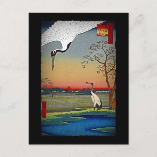 Kranen en blauw water briefkaart (Voorkant)