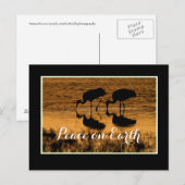 Kranen en vrede op aarde met grens briefkaart (Voorkant / Achterkant)