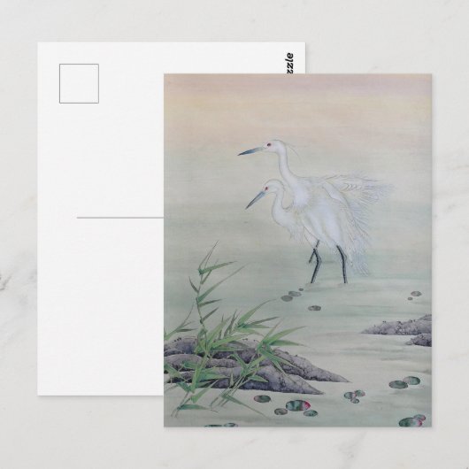 Kranen in de Chinese rivier Briefkaart (Voorkant / Achterkant)