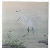 Kranen in de Chinese rivier Tegeltje (Voorkant)