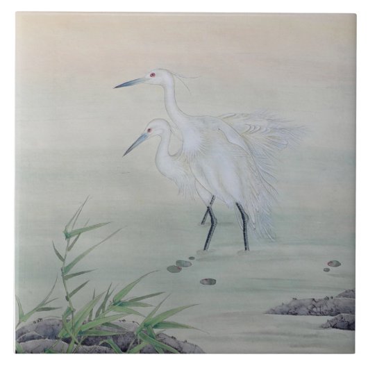 Kranen in de Chinese rivier Tegeltje (Voorkant)