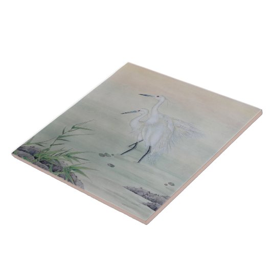 Kranen in de Chinese rivier Tegeltje (Zijkant)