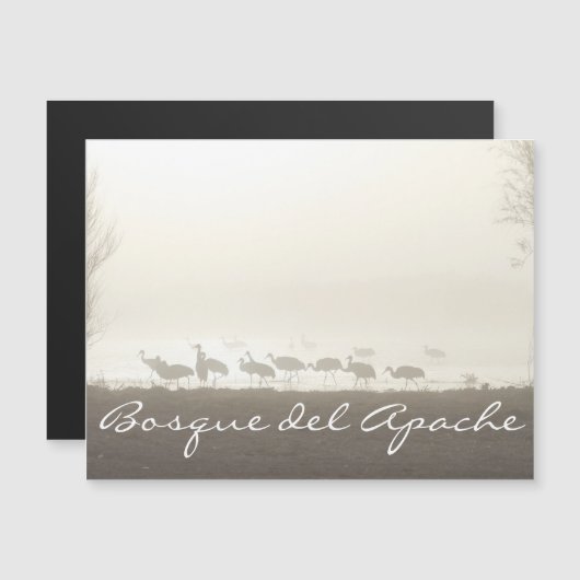 Kranen in de mist Bosque del Apache (Voorkant / Achterkant)