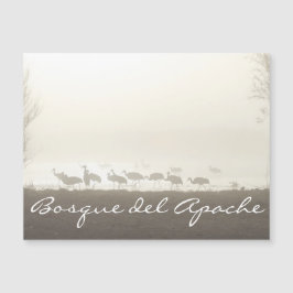 Kranen in de mist Bosque del Apache