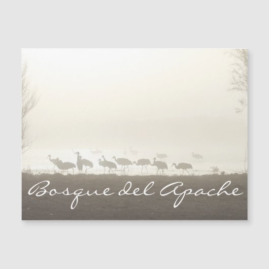 Kranen in de mist Bosque del Apache (Voorkant)