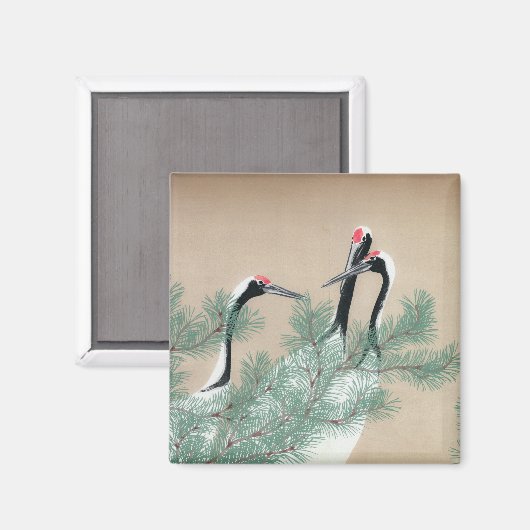 Kranen Magneet (Voorkant / Achterkant)