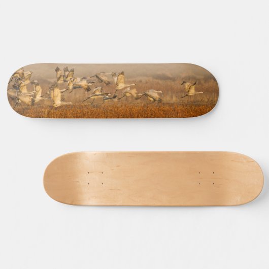 Kranen over gouden velden persoonlijk skateboard (Horizontaal)