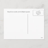 Kranen over gouden velden, Prettige feestdagen (Achterkant)