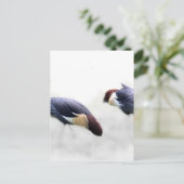 Kranen paar Aangepaste Personaliseer Project Home Briefkaart (Staand voorkant)