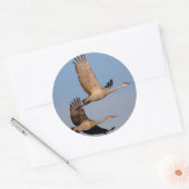 kranen ronde sticker (Envelop)