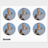 kranen ronde sticker (Vel)