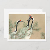 Kranen uit Momoyogusa Briefkaart (Voorkant / Achterkant)