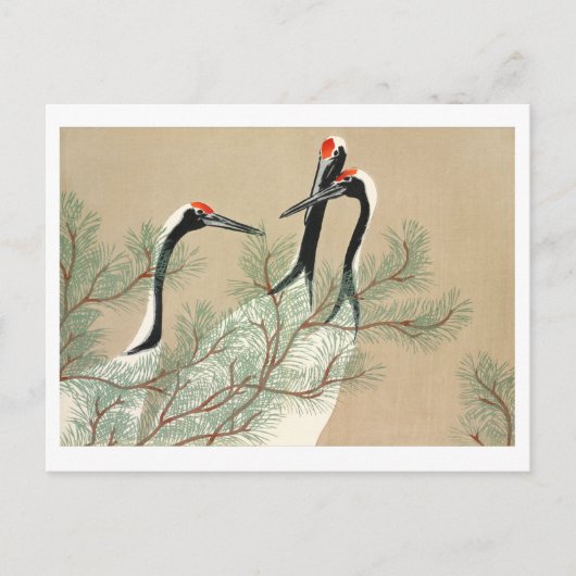 Kranen uit Momoyogusa Briefkaart (Voorkant)