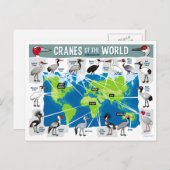 Kranen van de wereld briefkaart (Voorkant / Achterkant)