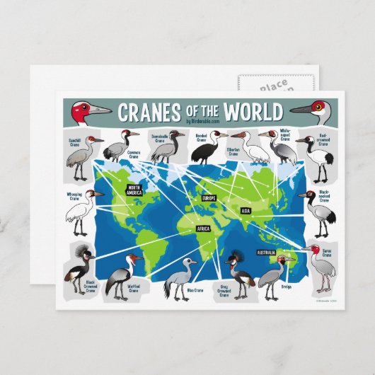 Kranen van de wereld briefkaart (Voorkant / Achterkant)