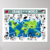Kranen van de wereld poster (Voorkant)