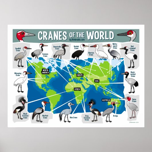 Kranen van de wereld poster (Voorkant)