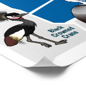 Kranen van de wereld poster (Hoek)