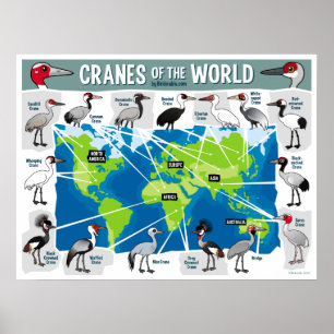 Kranen van de wereld poster