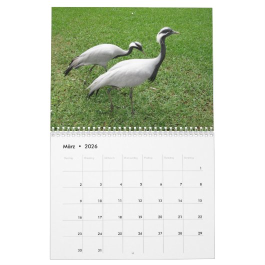 Kraniche Kalender (Mar 2026)