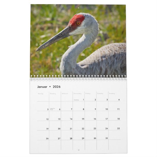 Kraniche Kalender (Jan 2026)