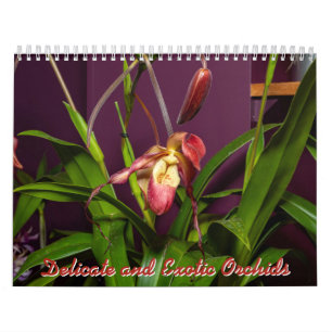 Krankelijke en exotische orchideeën kalender