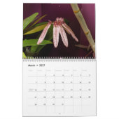 Krankelijke en exotische orchideeën kalender (Mar 2027)
