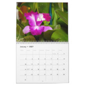 Krankelijke en exotische orchideeën kalender (Jan 2027)