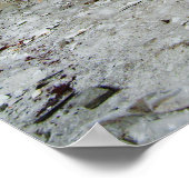 Krankenzimmer Poster (Hoek)