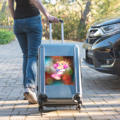 Krankjes en etiketten sticker (Koffer Insitu)