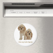 krankspanieten magneet (Insitu (Vaatwasser))