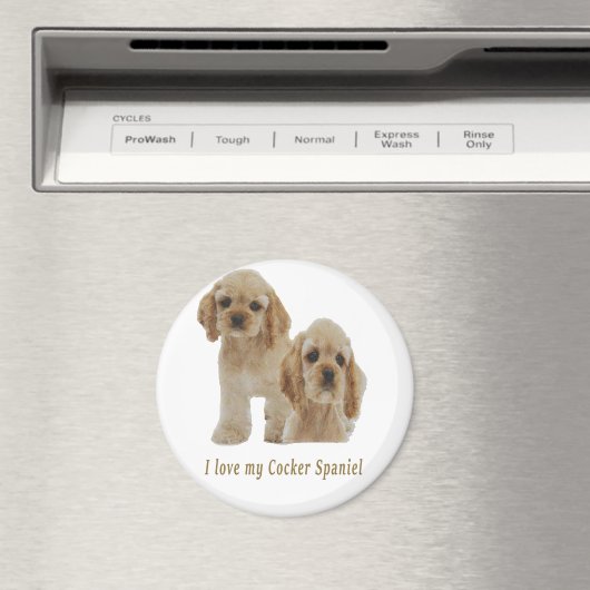 krankspanieten magneet (Insitu (Vaatwasser))