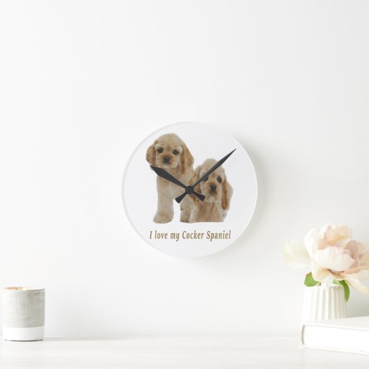 krankspanieten ronde klok (Huis)