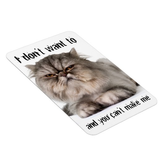 Kranky kat flexibele magneet, "Ik wil niet..." Magneet (Rechterzijde)