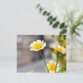 Krans chrysant briefkaart (Staand voorkant)