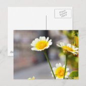 Krans chrysant briefkaart (Voorkant / Achterkant)